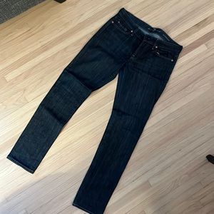 7 for all mankind Roxanne skinny Jean